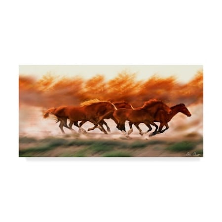 David Drost 'Blazing Herd Ii' Canvas Art,12x24